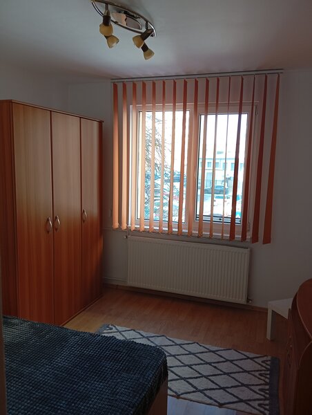 Mihai Bravu, Ferdinand