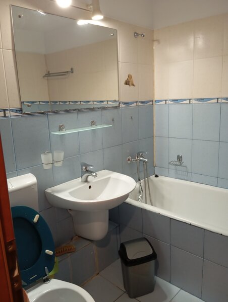 Mihai Bravu, Ferdinand